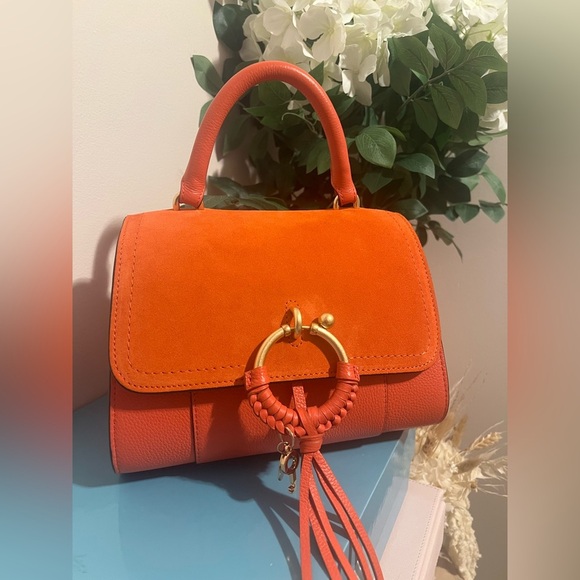 SEE BY CHLOE • JOAN LADYLIKE CROSSBODY BAG • GIPSY ORANGE NWT - Picture 5 of 16